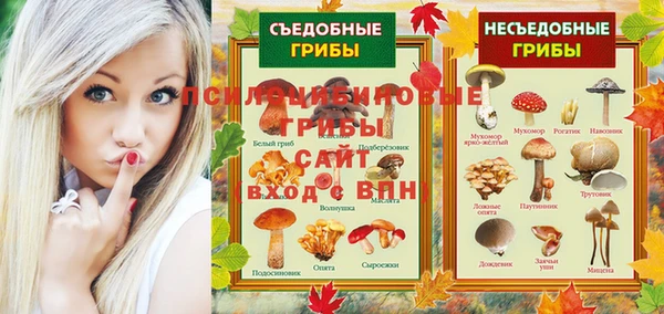 дживик Вяземский